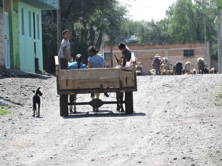 Chujni ko nthathingajin kulucho